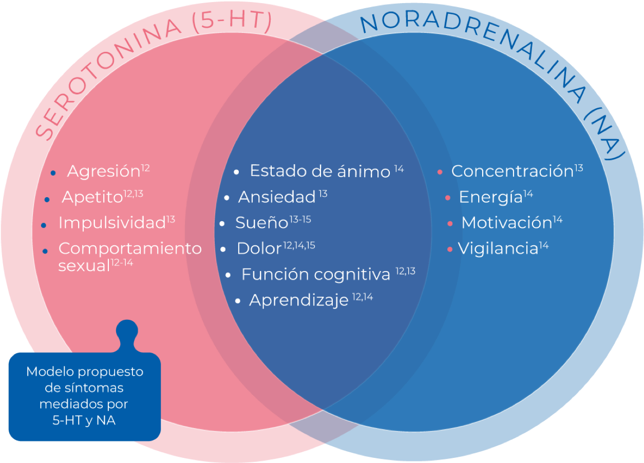 Imagen de Modelo hipotético de neurocomportamiento usando bases de datos de animales principalmente